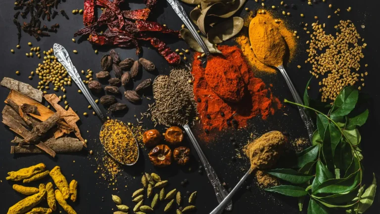 anju-ravindranath-Nihdo084Yos-unsplash